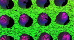 可視化表示画面1