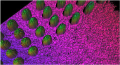 可視化表示画面2